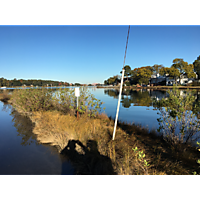 Thanksgiving high tide Norfolk image